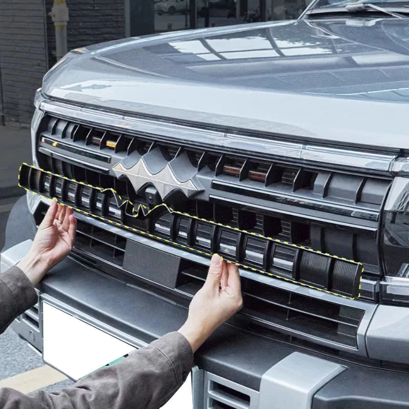 BYD Leopard 5 Lnsect Proof Net For Car Grille