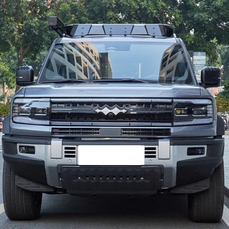 BYD Leopard 5 Lnsect Proof Net For Car Grille