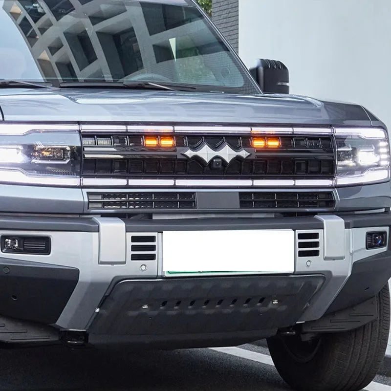 BYD Leopard 5 Lnsect Proof Net For Car Grille