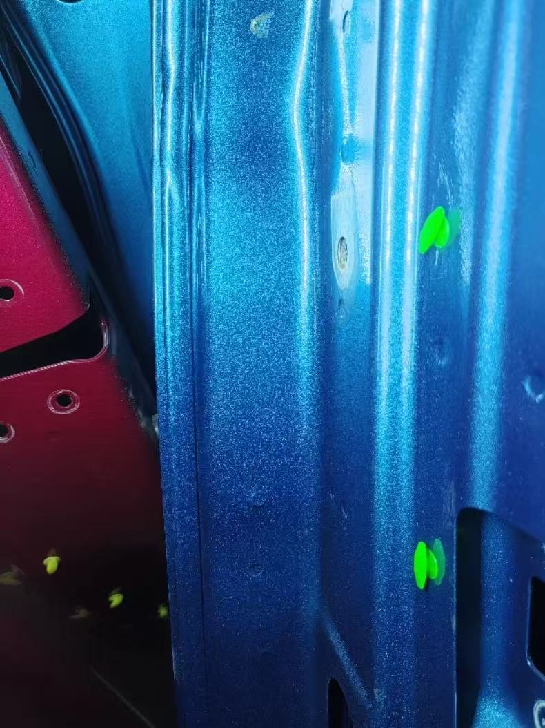 Dolphin OEM Rear Door