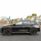 BYD Sealion 6 Seal U Song Plus Window Visor