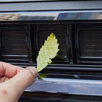 BYD Leopard 5 Lnsect Proof Net For Car Grille