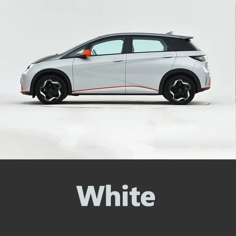 Autolack-Reparaturstift für BYD Dolphin, Lackfixierer, Reparatur, Ausbesserungslack, Zubehör