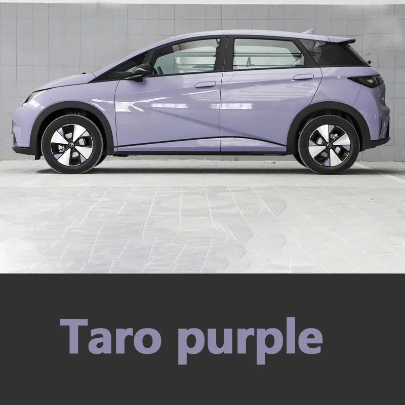 Autolack-Reparaturstift für BYD Dolphin, Lackfixierer, Reparatur, Ausbesserungslack, Zubehör