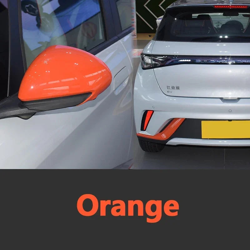 Autolack-Reparaturstift für BYD Dolphin, Lackfixierer, Reparatur, Ausbesserungslack, Zubehör