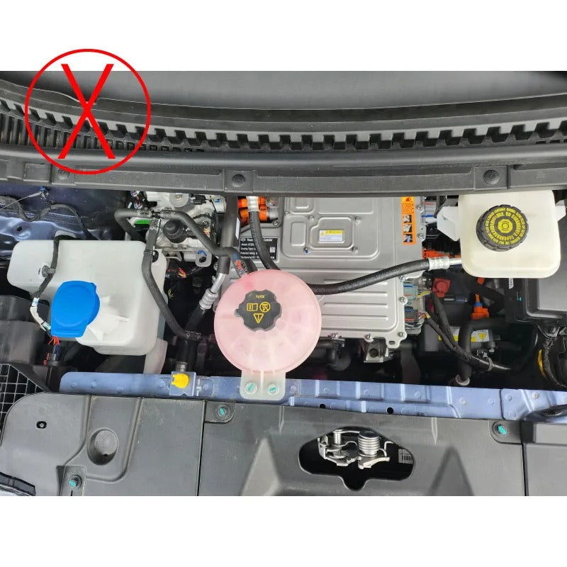 Upgrade Version BYD Dolphin Front Trunk Storage Box LHD