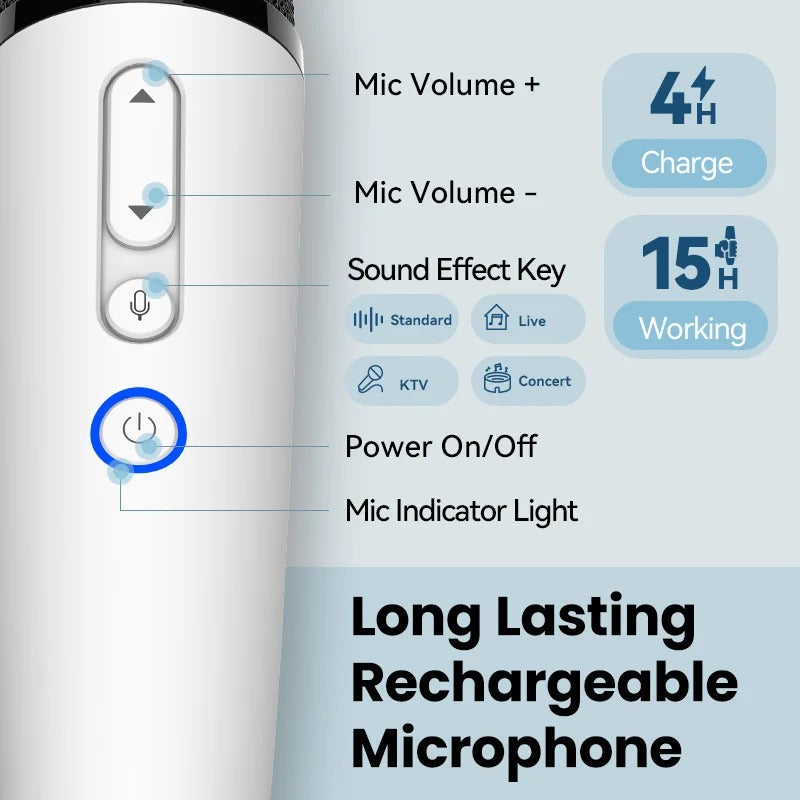 BYD Official factory Car Microphone With Receiver