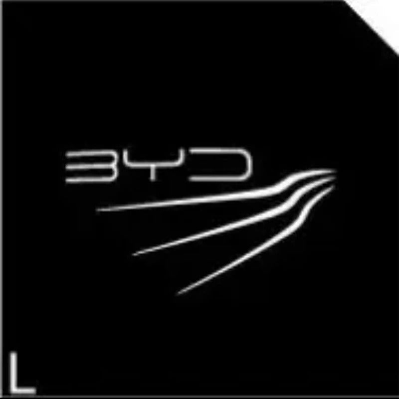 Universal Car Door Lights Welcome Lights Exit Warning Lights for BYD Car